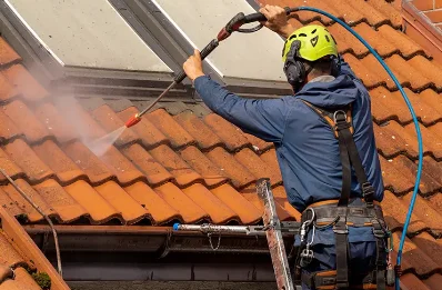 Démoussage et hydrofuge de toiture à Chasnais